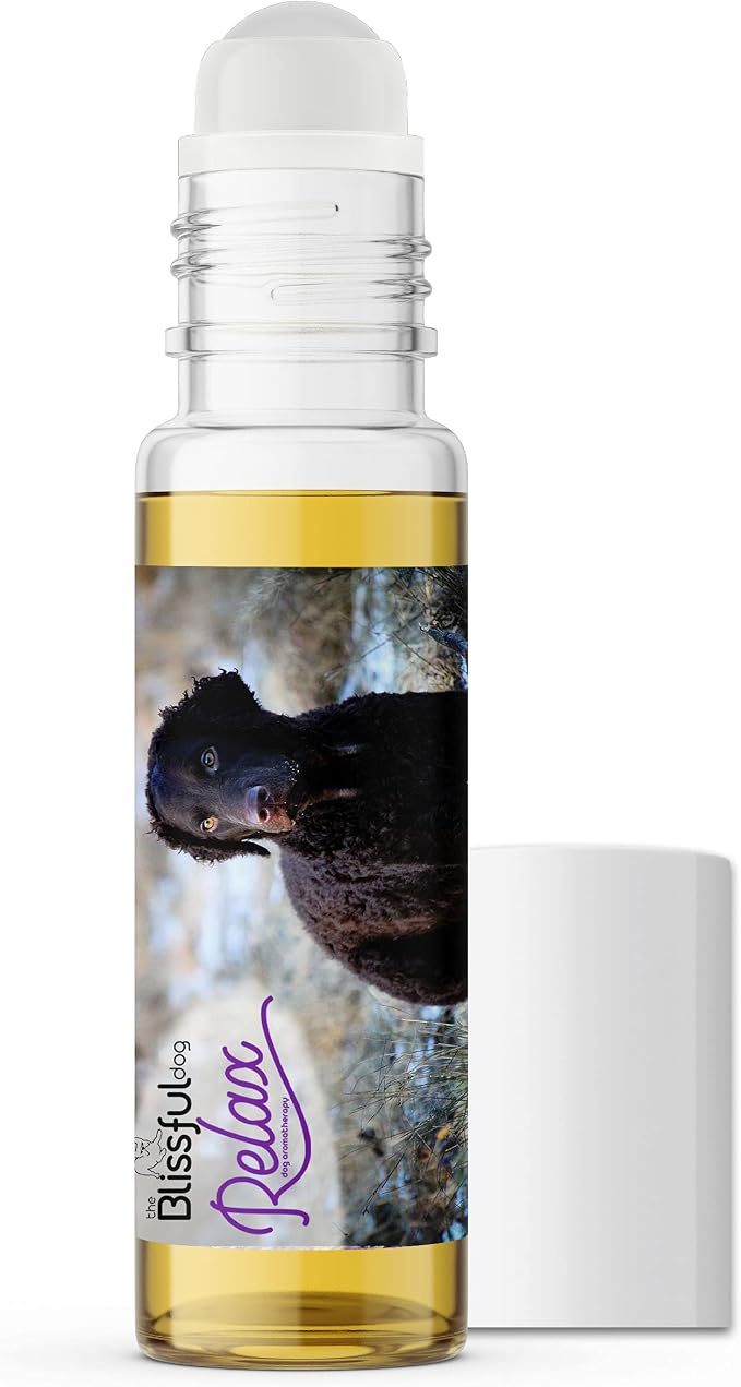 The Blissful Dog Curly-Coat Retriever Relax Roll-ON Aromatherapy for Dogs - Anxiety Relief for Dogs