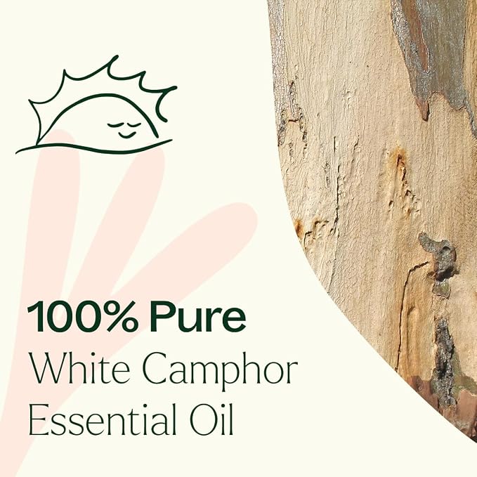 Plant Therapy White Camphor Essential Oil 10 mL (1/3 oz) 100% Pure, Undiluted, Natural Aromatherapy