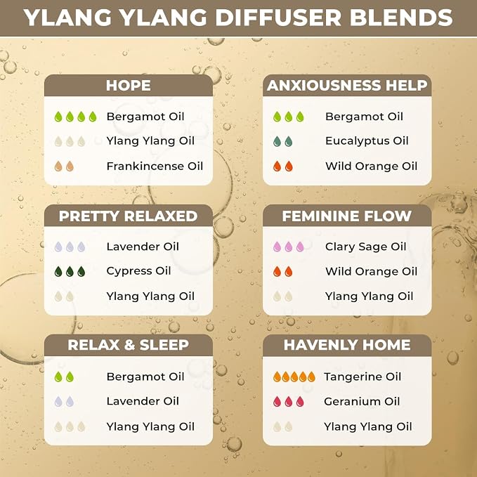Plant Based Ylang-Ylang Essential Oil – 100% Pure & Organic, Ideal for Skin & Aromatherapy – Fragrance Oil for Stress Relief, Massage, and Relaxation – Ylang Ylang Oil for Home Diffuser