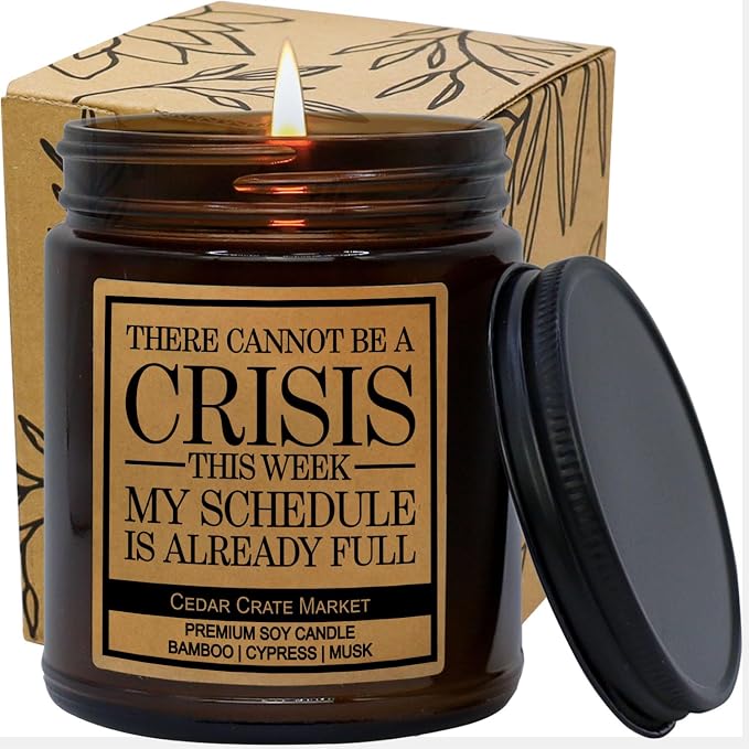 Funny Candles for Women, Men - Going Away Gift for Coworker, Boss, Administrative Assistant, Work Bestie, Presents for Friend, New Job, Leaving, Retirement, Promotions, Scented Candle, Made in the USA