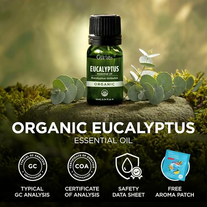 Gya Labs USDA Organic Eucalyptus Essential Oil for Diffuser & Seasonal Comfort - for Skin, Massages, Hair & Scalp Care, Aromatherapy, DIY Candle Making Scents - 0.34 Fl Oz