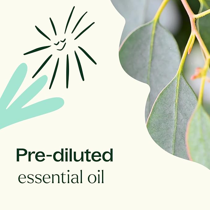 Plant Therapy Eucalyptus Pre-Diluted Essential Oil Roll-On 10mL (1/3 oz), 100% Pure, for Clear Breathing, Aromatherapy and Topical Use