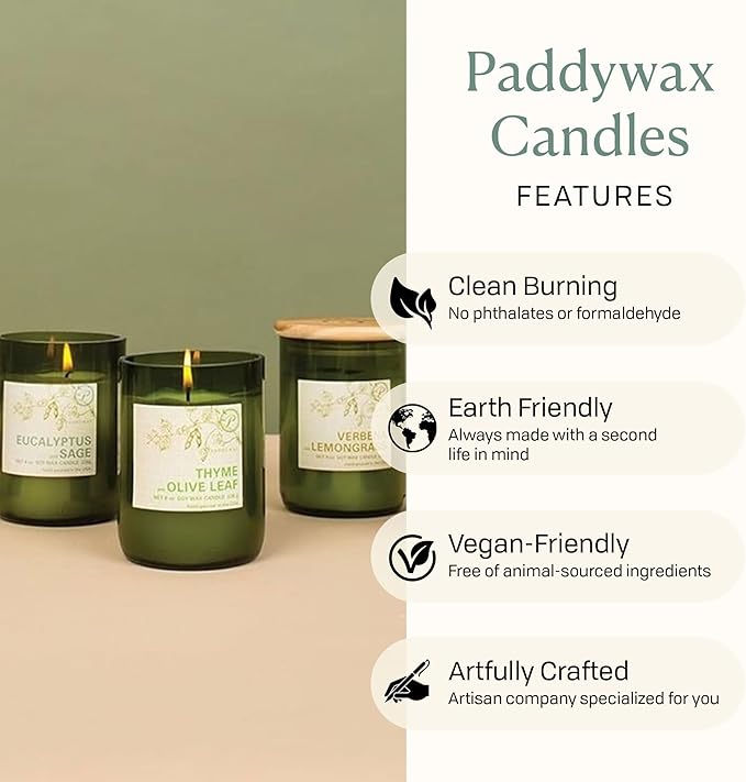 Paddywax Eco Green Collection Soy Wax Blend Candle in Glass Jar, Meyer Lemon Scent, Green Vessel with Wood Lid, 8 oz