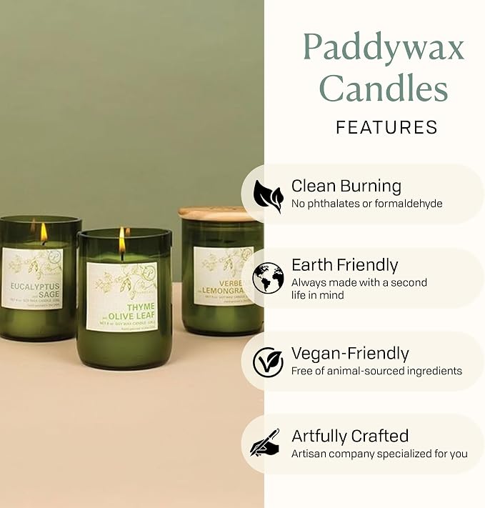 Paddywax Eco Collection Scented Soy Wax Candle in Glass Jar, Pomegranate & Currant Fragrance, Green Vessel with Wood Lid, 8 oz
