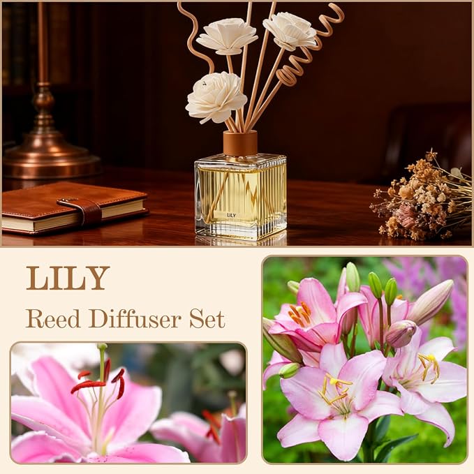 Lily Reed Diffuser - 6.7 oz Glass Bottle with 4 Rattan Sticks, 3 Dried Flowers | Adjustable, Long-Lasting Scent for Home, Bedroom, Living Room, Office, Bathroom | Aromatherapy Gift