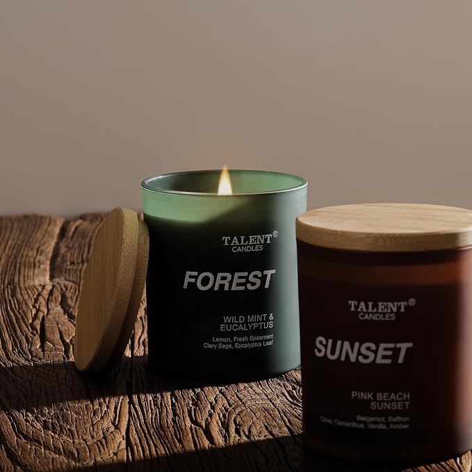 Candles for Home Scented, Natural Soy Wax, Scented Candle Stress Relief and Relaxation, Wild Mint & Eucalyptus, Medium Jar, Ideal for Home and Bedroom Decor