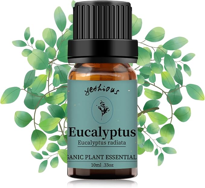 yethious Eucalyptus Essential Oils for Diffuser & Aromatherapy Pure Eucalyptus Oil for Skin, Hair Gift Oils - 10ML
