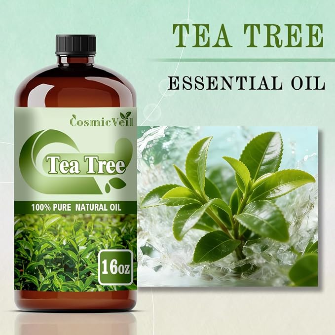 Tea Tree Essential Oil Tea Tree Oil for Aroma Diffuser,Humidifier,Home Fragrance,Cleaning,Body Care,Massage,Yoga,DIY Candle,DIY Soap CosmicVeil（Tea Tree，16 Fl Oz (Pack of 1)）