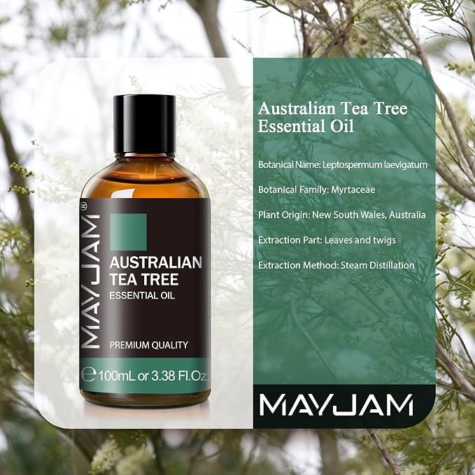 Australian Tea Tree Essential Oil, MAYJAM Pure Essential Oils for Diffusers, 3.38FL.OZ/100ML Large Volume Australian Tea Tree Oil with Premium Glass Dropper