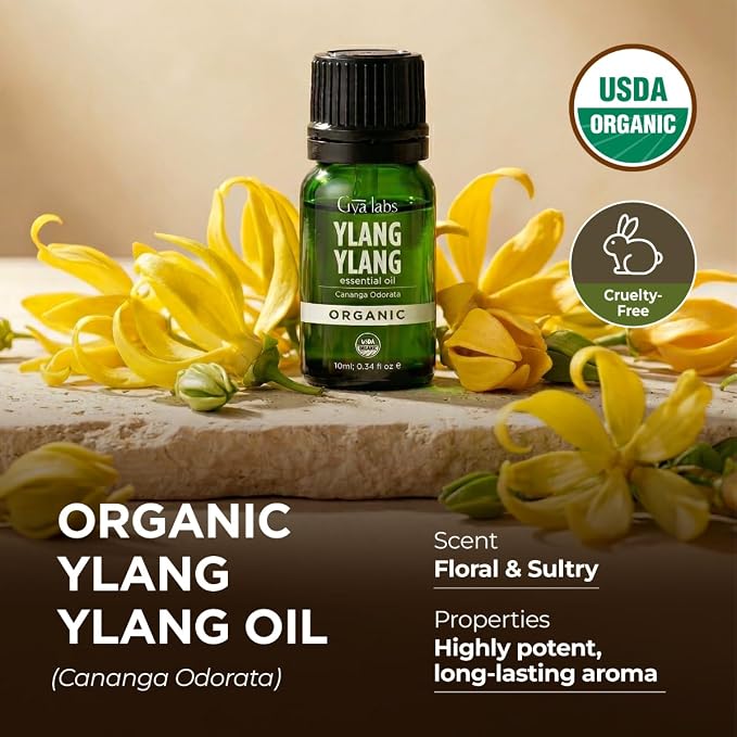 Gya Labs USDA Certified Organic Ylang Ylang Essential Oil - for Skin, Hair, Diffuser, Aromatherapy, DIY Candle Making Scents - 0.34 Fl Oz