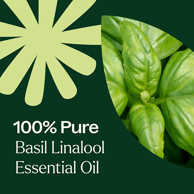 Plant Therapy Basil Linalool Essential Oil 10 mL (1/3 oz) 100% Pure, Undiluted, Aromatherapy, for Muscle Soreness and Digestive Discomfort