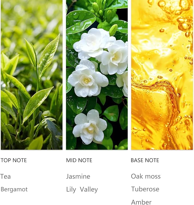 Waterless Essential Oil 20ml, Black Tea Scent with Bergamot, Jasmine, Lily of the Valley& Oak Moss, Fragrance Oil for Waterless Diffusers, Home Hotel, Office and car Aroma Scent Oil
