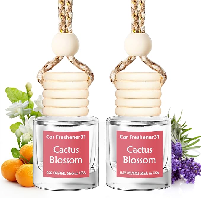 Hanging Car Air Freshener, Long Lasting Essential Oil Diffuser, Non-Toxic New Car Scent, Cute Car Fresheners for Women, 2 Pack Made in USA