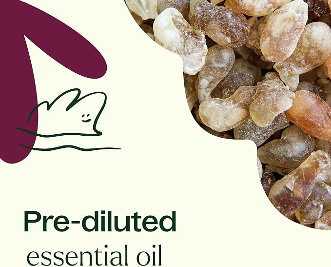 Plant Therapy Frankincense Carterii Essential Oil Pre-Diluted Roll-On 10 mL (1/3 oz), Natural Aromatherapy, Soothing Essential Oil for Meditation, Skin Irritation, and Sore Muscle Relief