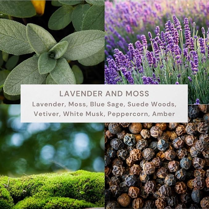 Scented Re ed Diffuser 3 Fl Oz (90 ml) W/ 8 Synthetic Sticks (Lavendar & Moss)