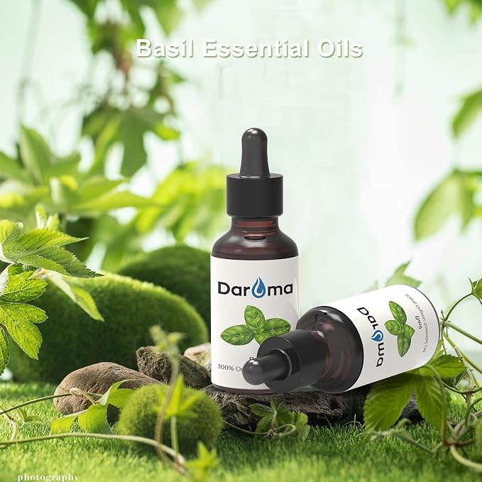Basil Essential Oil, Daroma Aromatherapy Oils for Diffusers, 100% Pure Steam Distilled Premium Natural Oils for Yoga, Office, Home and DIY, Perfect for Relaxation, Premium Glass Dropper 20ML