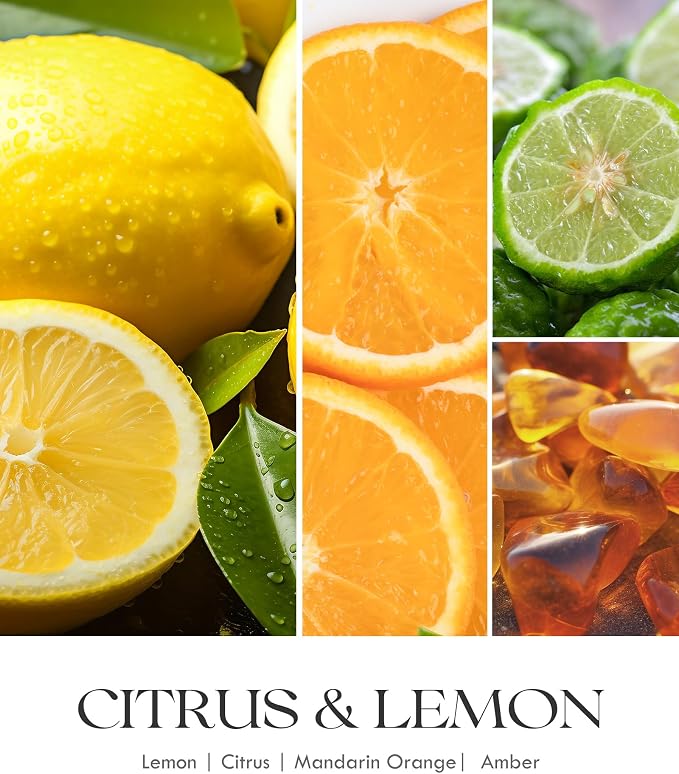 AOOVOO Citrus Lemon 11oz Large Odor Eliminating Highly Fragranced Candle - Eliminates 95% of Smoke, Food, Pet and Other Smells Quickly, Air Freshing Soy Candles, Up to 50 Hours Burn time