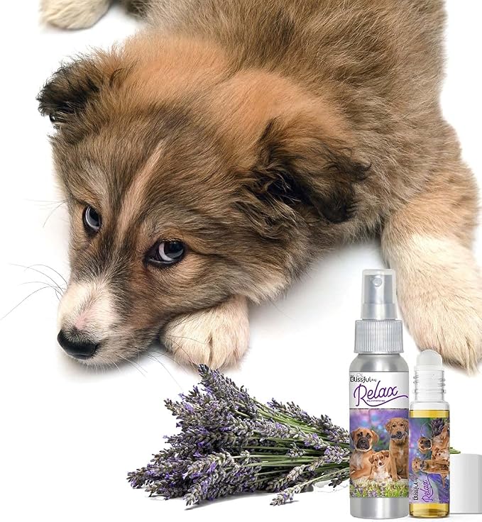 The Blissful Dog Three Cute Puppies Relax Roll-ON Aromatherapy for Dogs - Anxiety Relief for Dogs, 0.45-Ounce Roll-On