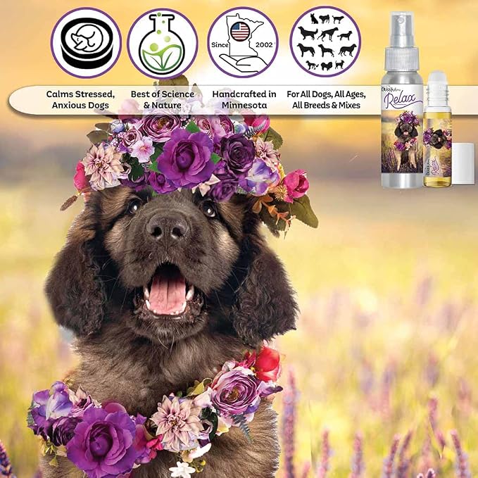 The Blissful Dog Leonberger Relax Dog Aromatherapy Spray for Your Dog's Anxiety