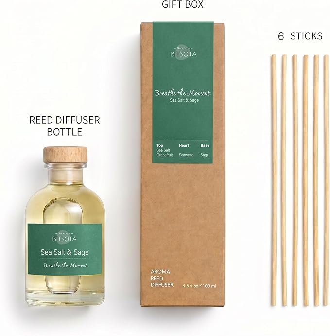 Natural Reed Diffuser Set, Sea Salt & Sage 3.52 oz (100ml) Scented Diffuser with Sticks Home Fragrance Reed Diffuser for Bathroom Shelf Decor, Ideal Gift for Woman