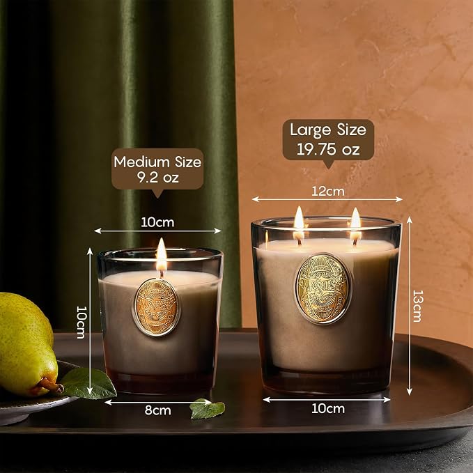 M&SENSE Large Two-Wick Soy Candle | Crisp Chill & Black | 19.8 oz, 120H Burn Time | Luxury Scented Candle for Him,for Relaxation, Gifting, Home Décor | Ideal for Bedroom, Office, Party Ambiance