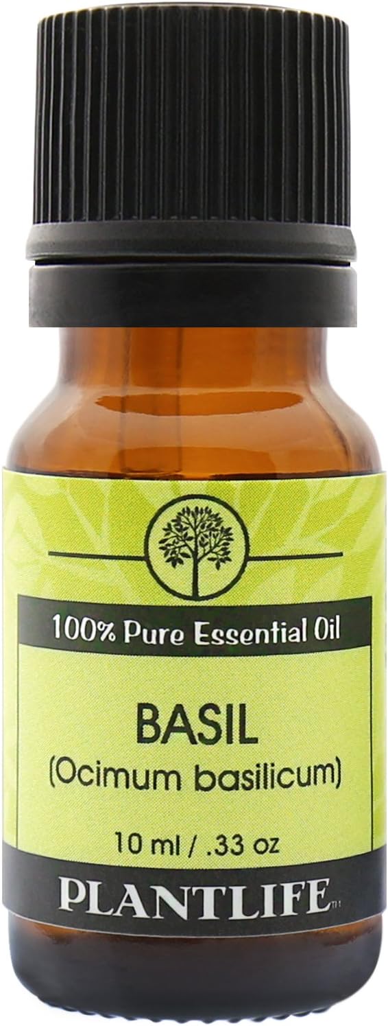 Plantlife Basil Aromatherapy Essential Oil - Straight from The Plant 100% Pure Therapeutic Grade - No Additives or Fillers - 10 ml