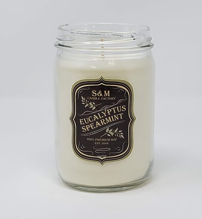 Eucalyptus Spearmint Candle Stress Free Aromatherapy All Natural Premium Soy Candles ~ 12oz Jars (Eucalyptus Spearmint)