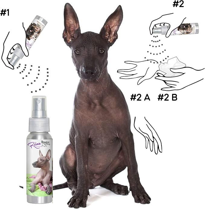 The Blissful Dog Xoloitzcuintli Relax Roll-ON Aromatherapy for Dogs - Anxiety Relief for Dogs