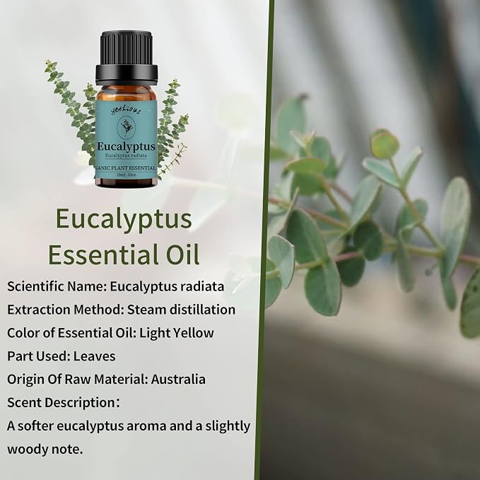 yethious Eucalyptus Essential Oils for Diffuser & Aromatherapy Pure Eucalyptus Oil for Skin, Hair Gift Oils - 10ML