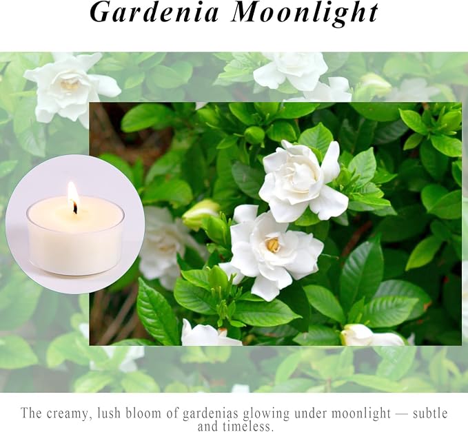 Scented Tea Lights Candles, Gardenia Moonlight, 16 Pack – White Scented Tealight Candles– 100% Palm Wax – 6 Hour Burn Time Aromatherapy Tea Light Votive Candle for Dinner, Bedroom, Spa, Wedding Decor
