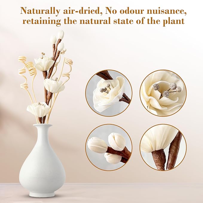 Reed Diffuser Sticks,Reed Diffuser Sticks Flowers,Reed Diffusers for Home,Bathroom Diffuser,Diffuser Set with Sticks,Natural Flower,White/Brown