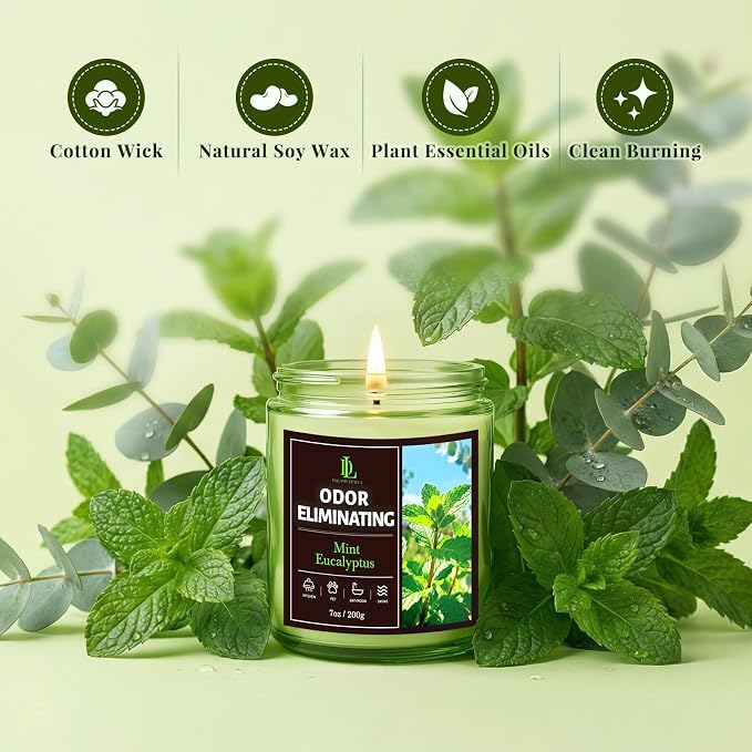 Mint Eucalyptus Odor Eliminating Highly Fragranced Candle, Eliminates 95% of Bathroom & Pet Odors Quickly, Air Freshing Scented Candles, Soy Candle Gifts for Women Men, 7oz