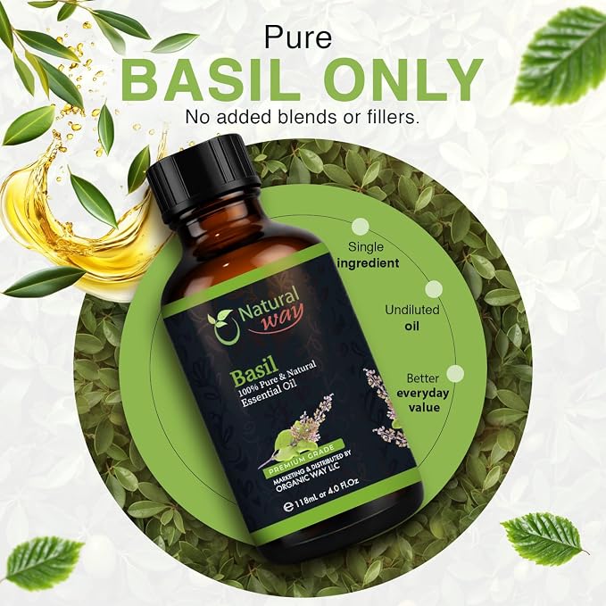 Basil Essential Oil for Diffusers | Natural Aroma Oil for Home Fragrance, Humidifier & DIY Candle Making, Long Lasting Scent for Office, Bedroom & Soothing Scent 4 Fl Oz (120 mL)