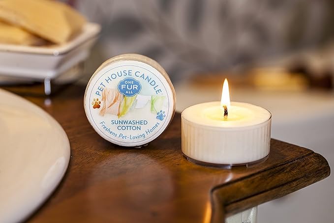 Pet House Mini Candles for Pet Odor Made with Natural Soy Wax, Plant Based, Dog and Cat Friendly Scented, Variety Pack of 10