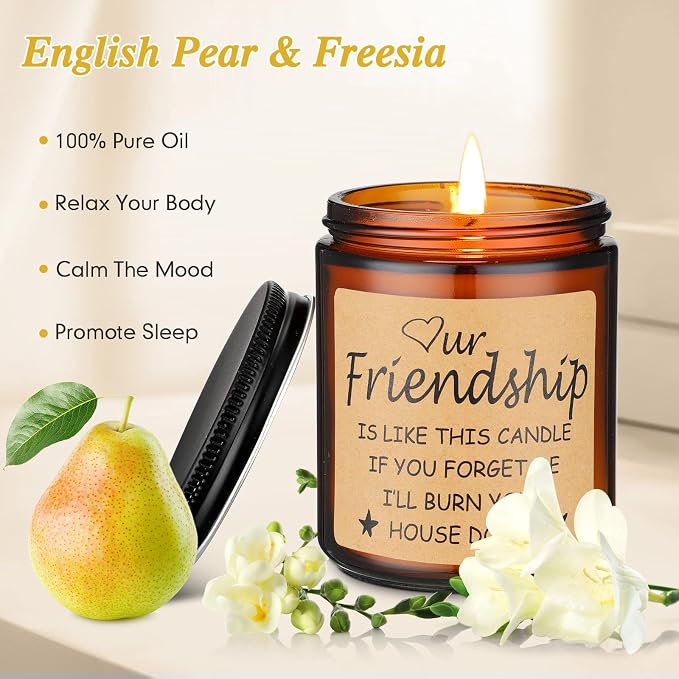 Funny Gifts for Friends,Gifts for Best Friend Women Men,Christmas Gifts for Friends,Funny Birthday Gifts for Friend,Friendship Gifts for Women Candles Gift (Friendship)