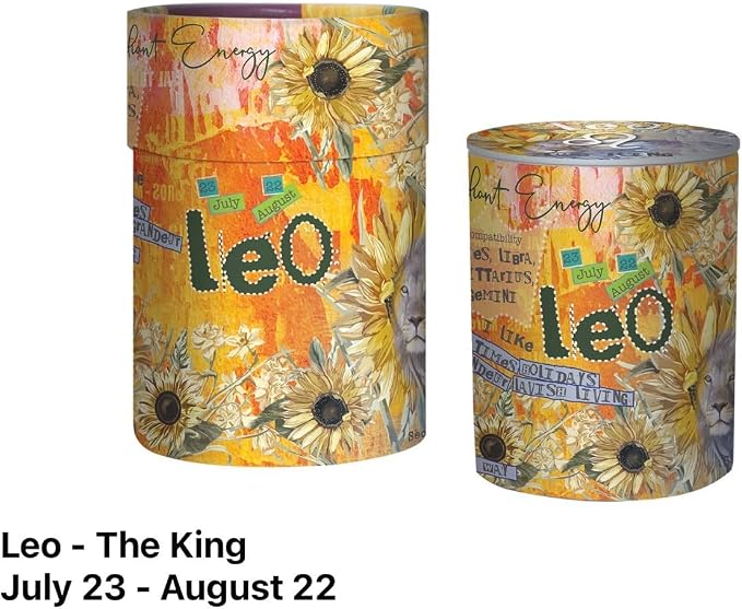 Leo Zodiac Candle – Jasmine Scented Soy Candle – Astrology Gift for Women – 80 Hour Burn – Reusable Ceramic Jar