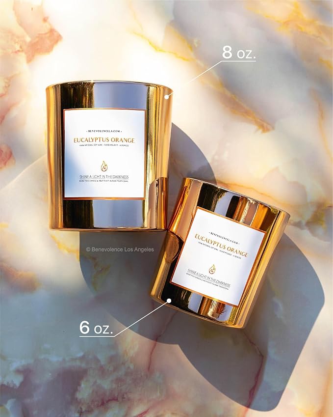 Benevolence LA Premium Eucalyptus Orange Scented Candle – Long-Lasting, 45-Hour Burn – Luxury Natural Soy Wood Wick Candle for Home – Aromatherapy & Room Decor – 8oz