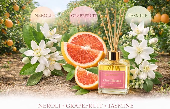 Aromatique, Reed Diffuser Set, Reusable, Refillable Glass Vessel Includes 8 Reed Sticks, Flame Free, Luxury Home Decor Fragance, Boxed for Gifting, (Standard, Citrus Bloom)