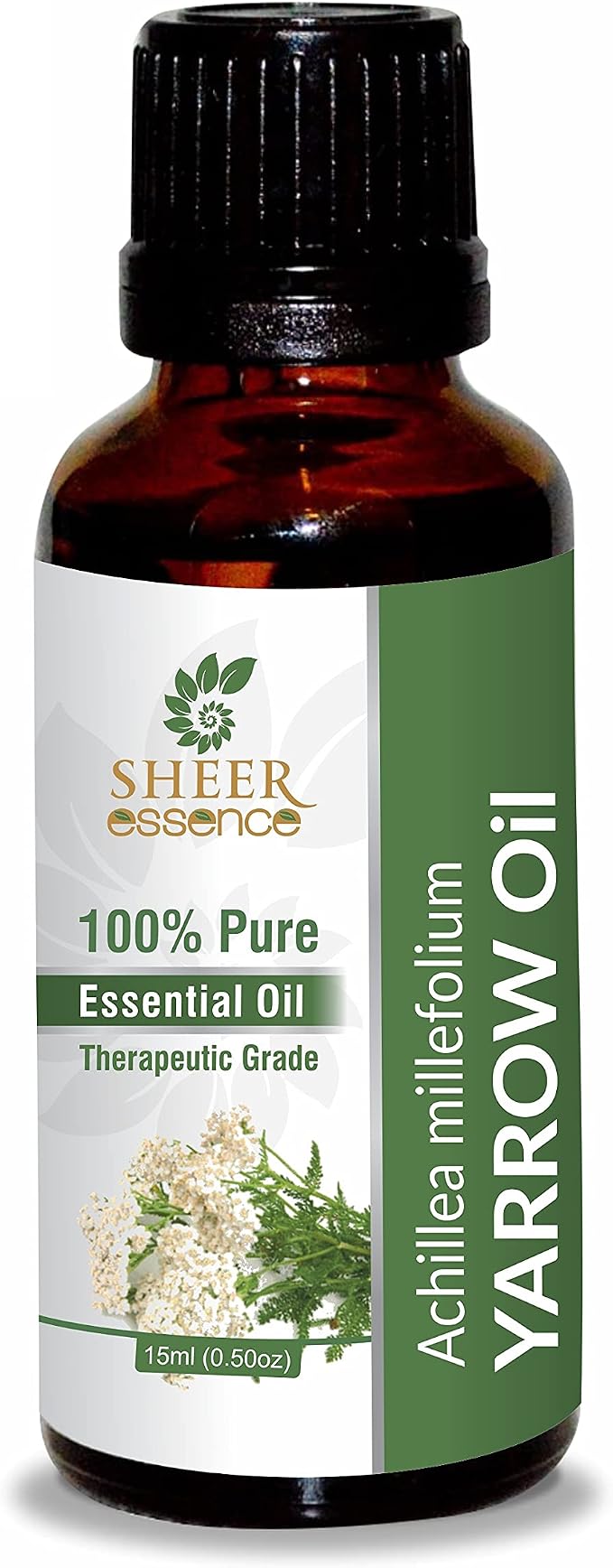 Yarrow Oil -(Achillea Millefolium)- Essential Oil 100% Pure Natural Undiluted Uncut Therapeutic Grade Oil 8.45 Fl.OZ