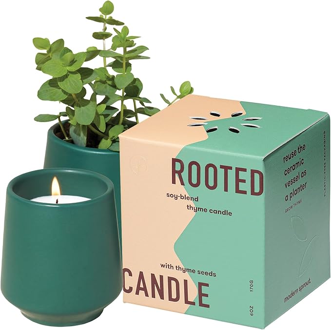 Modern Sprout - 2 in 1 Tonka Bean Scented & Soy Candle with Seeds that Grows into Thyme Plant - 6 oz w/ 42 hr Burn time in Matte Glaze Ceramic Vessel Ideal for Indoor Herb Garden
