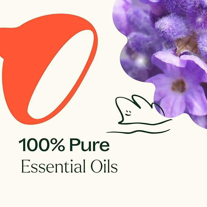 Plant Theapy Sensual Essential Oil Blend 10 mL (1/3 oz) 100% Pure, Undiluted, Natural Aromatherapy, for Couples, Romantic, Massage, Desire