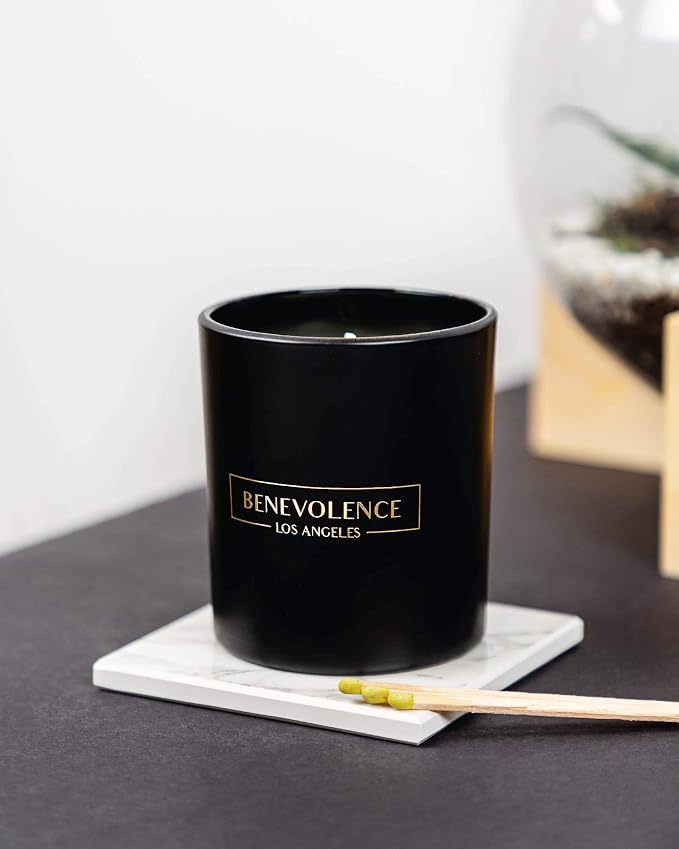 Benevolence LA Premium Lavender & Lilac Scented Candle – Long-Lasting, 45-Hour Burn – Luxury Natural Soy Candle for Home – Aromatherapy & Room Decor – 8oz
