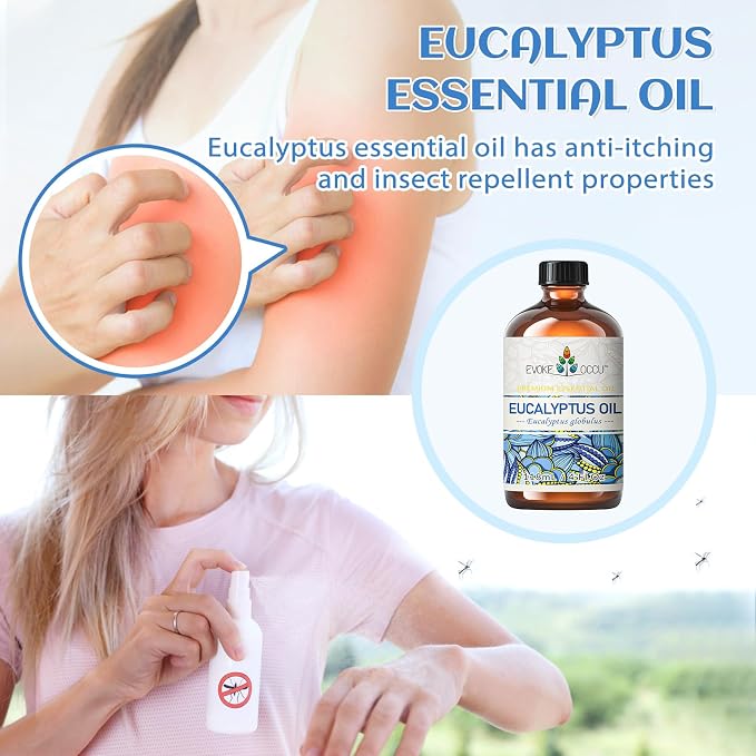 EVOKE OCCU Eucalyptus Essential Oil for Diffuser, Aromatherapy, Shower, Clear Breath, Add to Body Wash, Soap and Candle Making - 4 Fl Oz