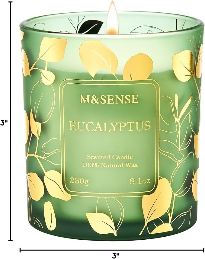 M&SENSE Eucalyptus Soy Candle, 8.1oz 42-Hour No Toxin Slow Burning, Cool Spa Aromatheraphy, Summer Shower Wellness Gift