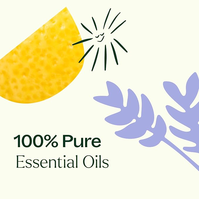 Plant Therapy Breathe Easy Essential Oil Set of 6 Bottles 10 mL (1/3 oz) Each, Lavender, Eucalyptus, Peppermint, Lemongrass, Orange Sweet, Tea Tree, 100% Pure, Aromatherapy