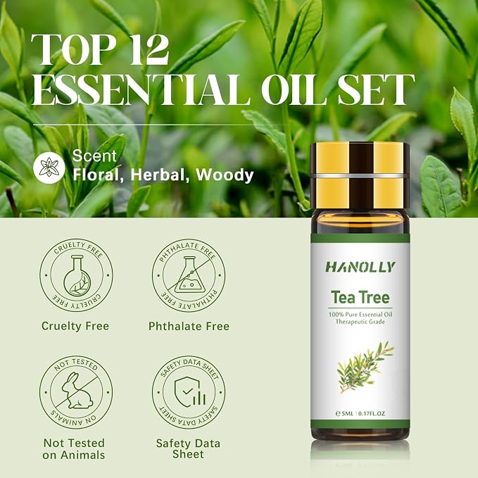 Essential Oils Set - 24 Pcs Essential Oil Kit for Diffuser, Aromatherapy, Massage, Skin Care, Soap & Candle Making - Premium Aromatherapy Diffuser Oils Set
