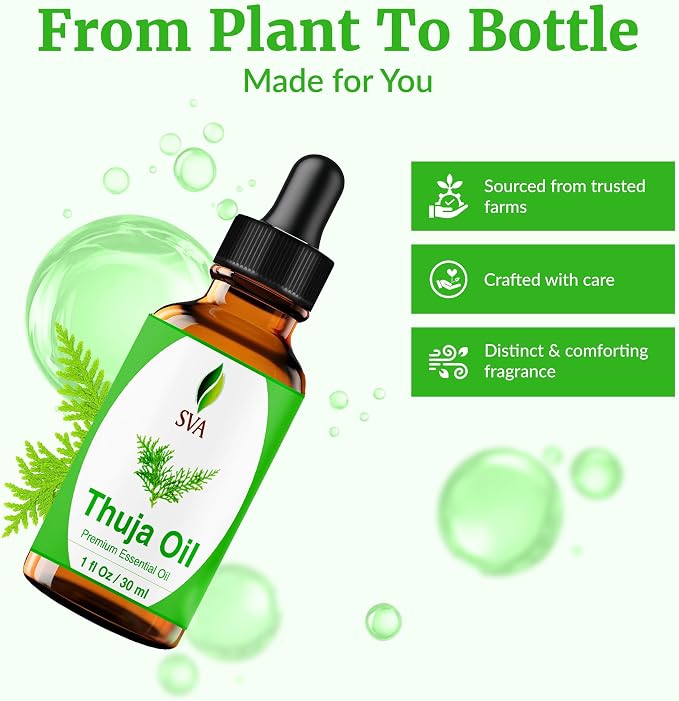 SVA Thuja Essential Oil 1 Fl Oz – for Diffuser, Skin & Hair Care – Ideal for Massage & DIY Blends - with Dropper
