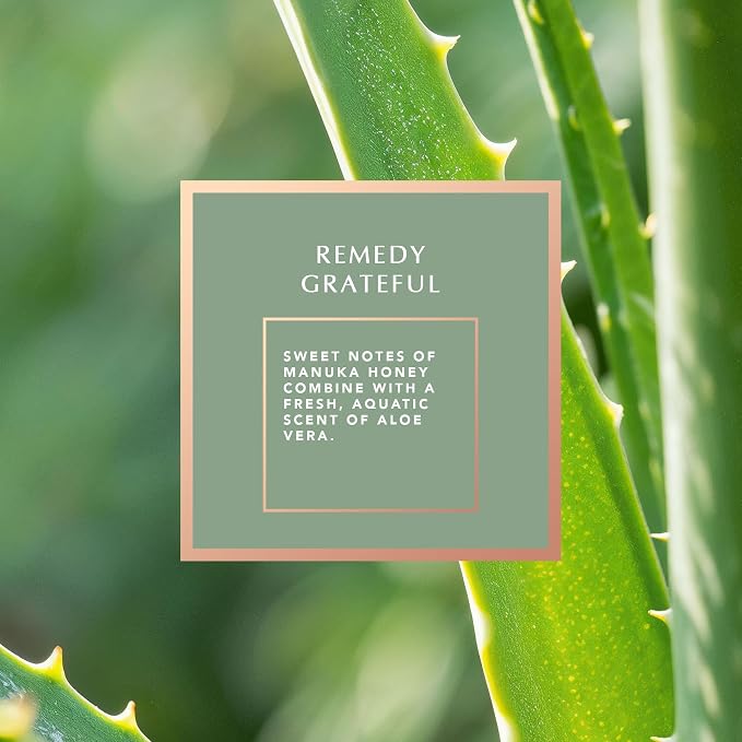 Pecksniff’s Aromatherapy Grateful Candle 3 Wick 19.4 oz/550 g, Honey Aloe Fragrance, Long Lasting Luxury Glass Candle for Relaxation, Home and Gifts