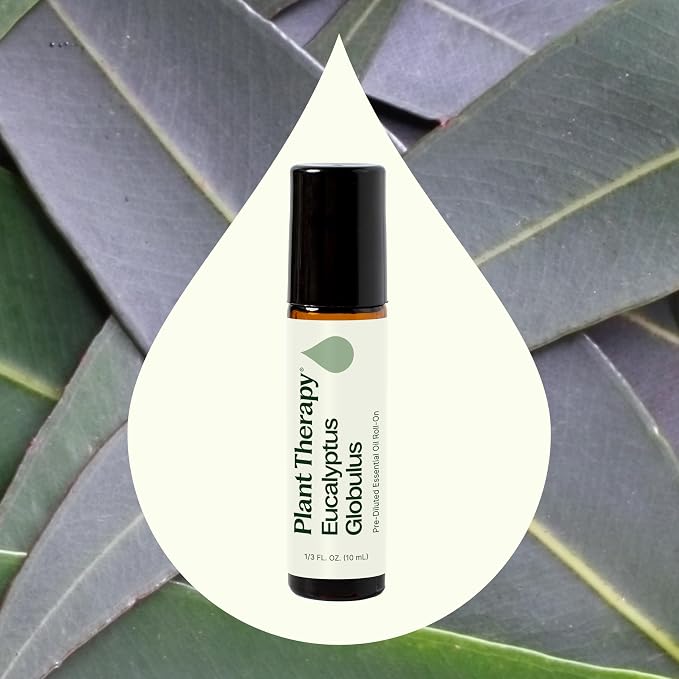 Plant Therapy Eucalyptus Pre-Diluted Essential Oil Roll-On 10mL (1/3 oz), 100% Pure, for Clear Breathing, Aromatherapy and Topical Use
