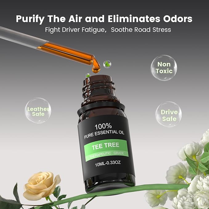 2Pcs Car Air Freshener Vent Clips, Car Diffuser Essential Oils Kit with 5 Different Essential Oils (0.34oz Each) & 12 Refill Sticks, long lasting Cars fragrance for House